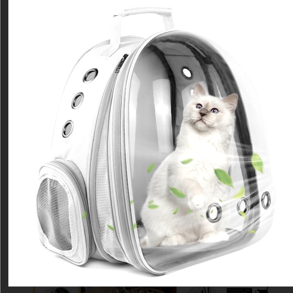 Cat backpack